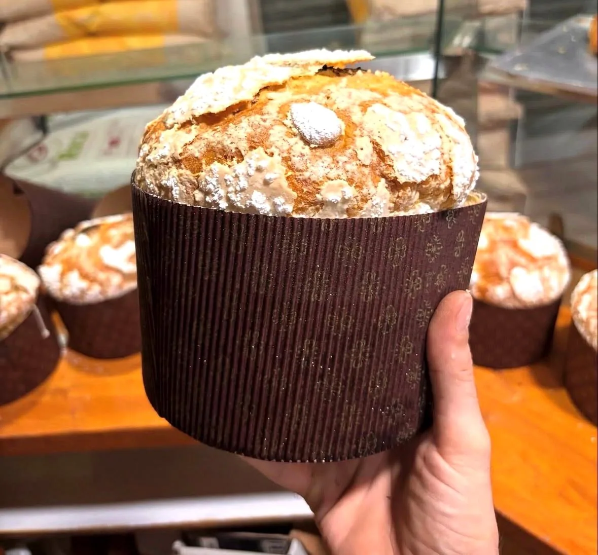 Artisan panettone