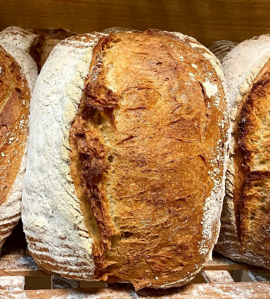 Pan Rustic de larga fermentación con corteza dorada